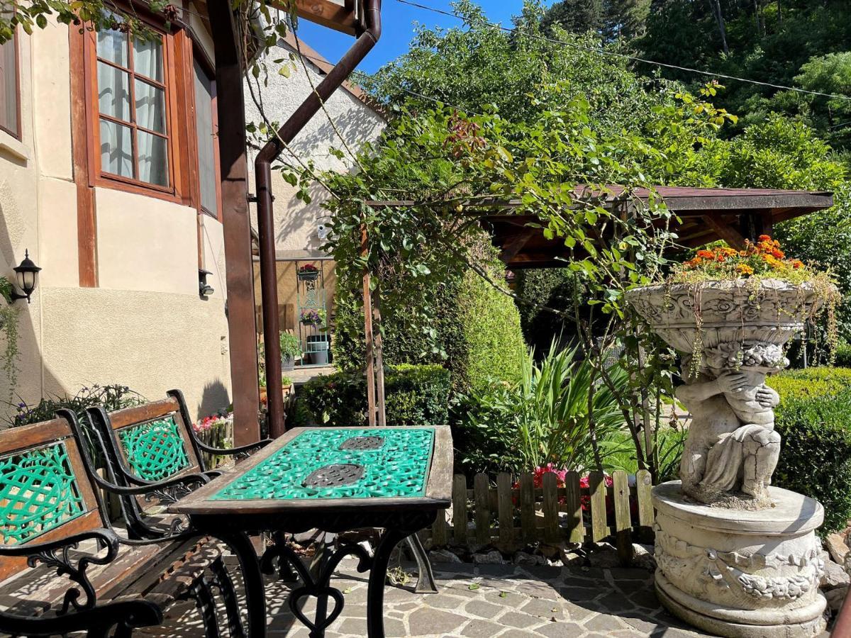 Dream House Brasov Braşov Exterior foto